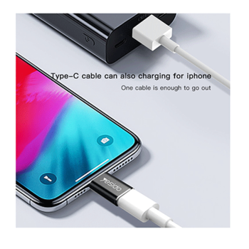 YESIDO GS03 Adapter USB-C auf Lightning Ladeadapter